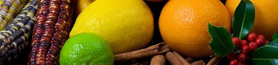 ip攻击器网页版